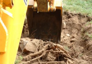 Seasonal Permit Dumping